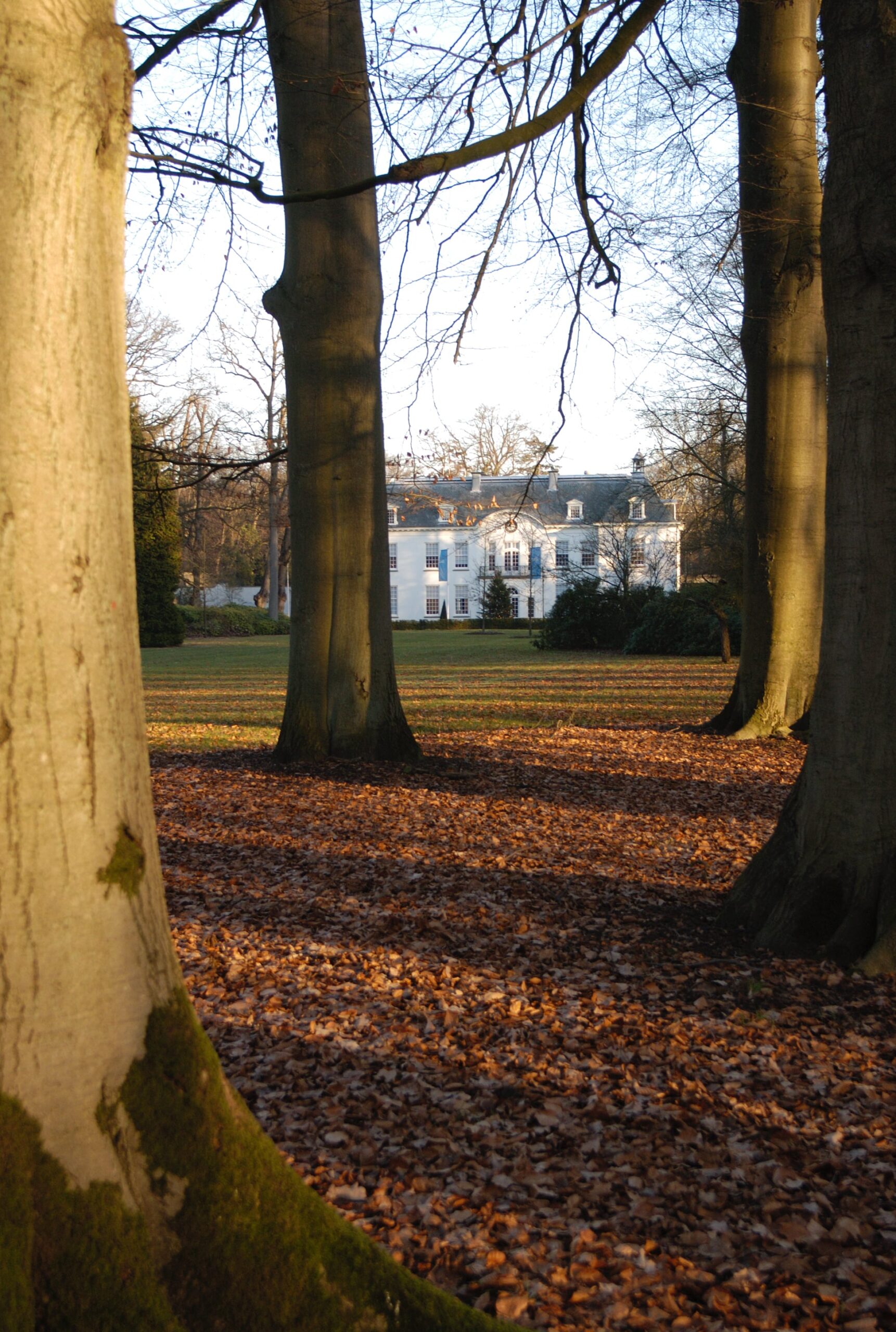 Vooraanzicht 2